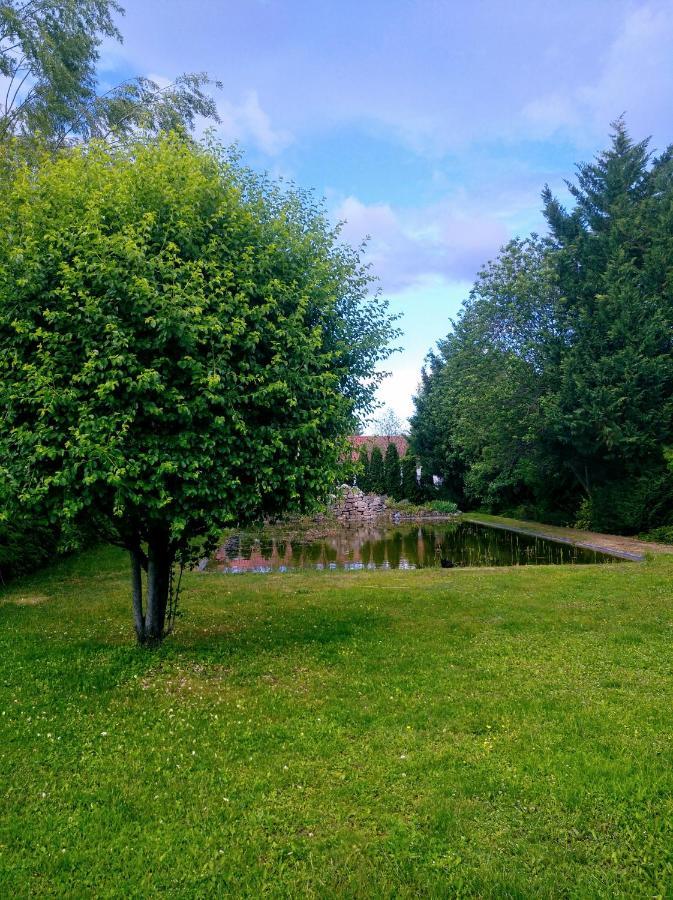 Vadvirag Panzio Hotel Agfalva ภายนอก รูปภาพ