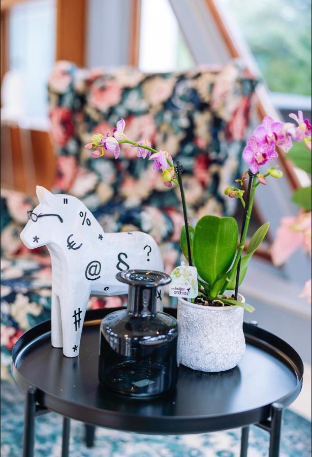 Vadvirag Panzio Hotel Agfalva ภายนอก รูปภาพ